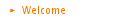 Site Pages